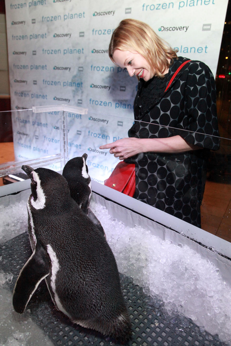 "Frozen Planet" Premiere - After Party