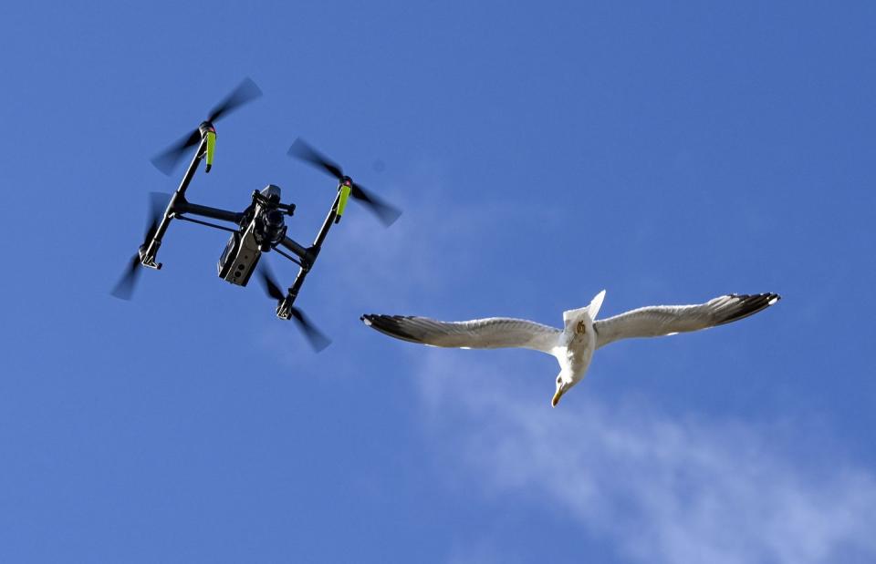 The CIA's Soviet-era bird drone concept.