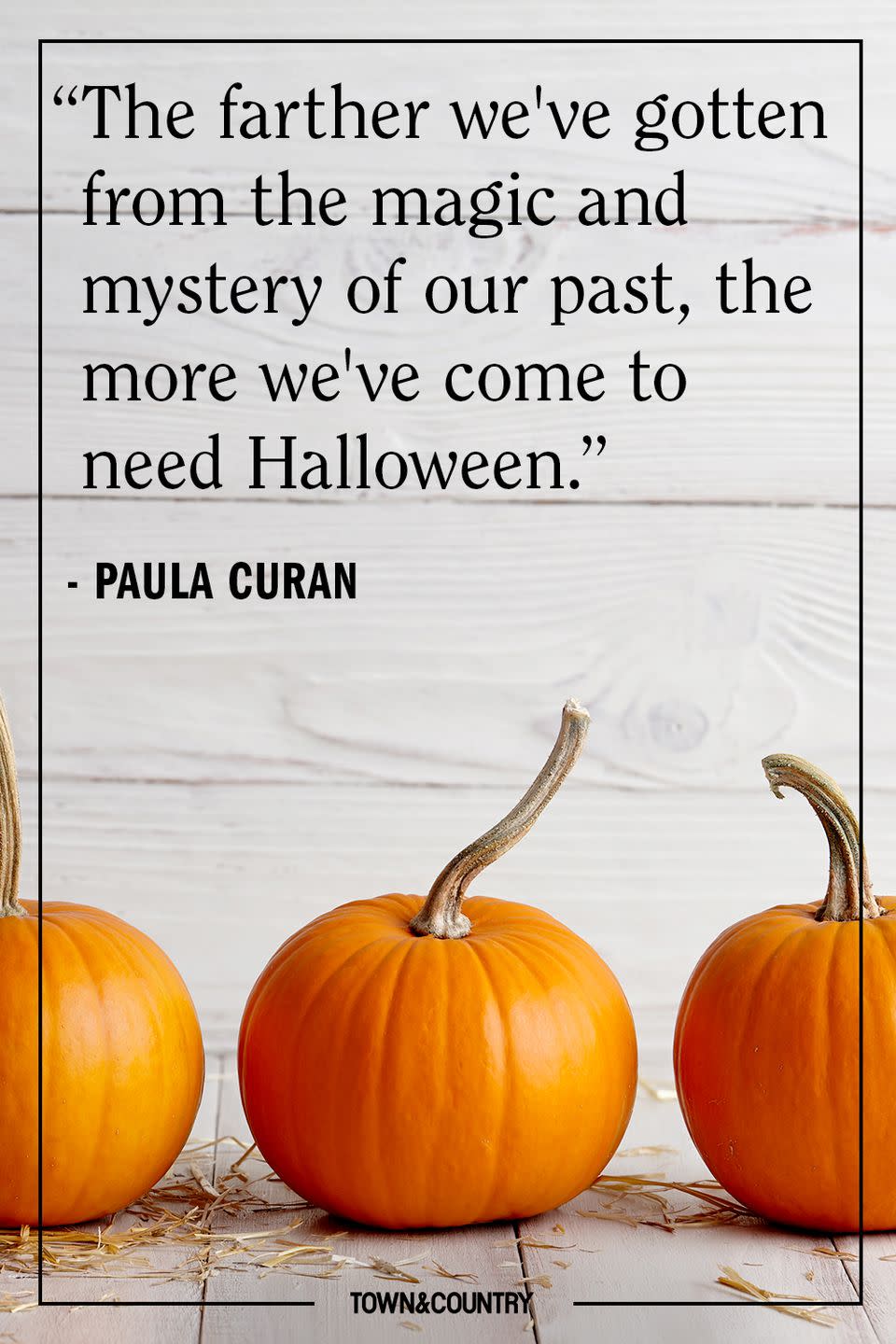 These 44 Halloween Quotes Will Get You Ready For Spooky Season