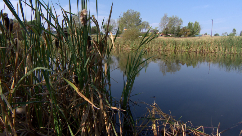 Concerns over Saskatoon pond where boy died date back years, residents say