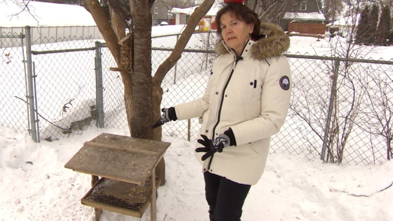 St. James wildlife feeder ordered to clean up yard