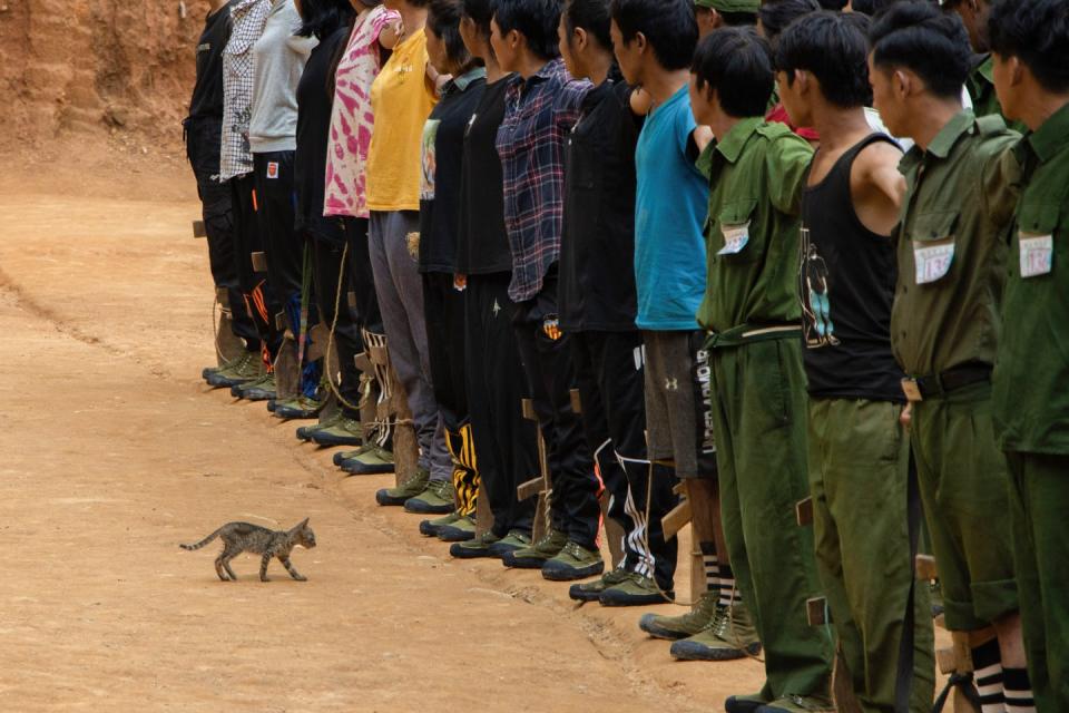 A cat walks in front of members of the People’s Defense Force – a armed group in Myanmar that opposes the military government. <a href="https://media.gettyimages.com/photos/cat-walks-in-front-of-the-peoples-defence-force-members-lining-up-picture-id1241835141?s=2048x2048" rel="nofollow noopener" target="_blank" data-ylk="slk:David Mmr/SOPA Images/LightRocket via Getty Images;elm:context_link;itc:0;sec:content-canvas" class="link ">David Mmr/SOPA Images/LightRocket via Getty Images</a>