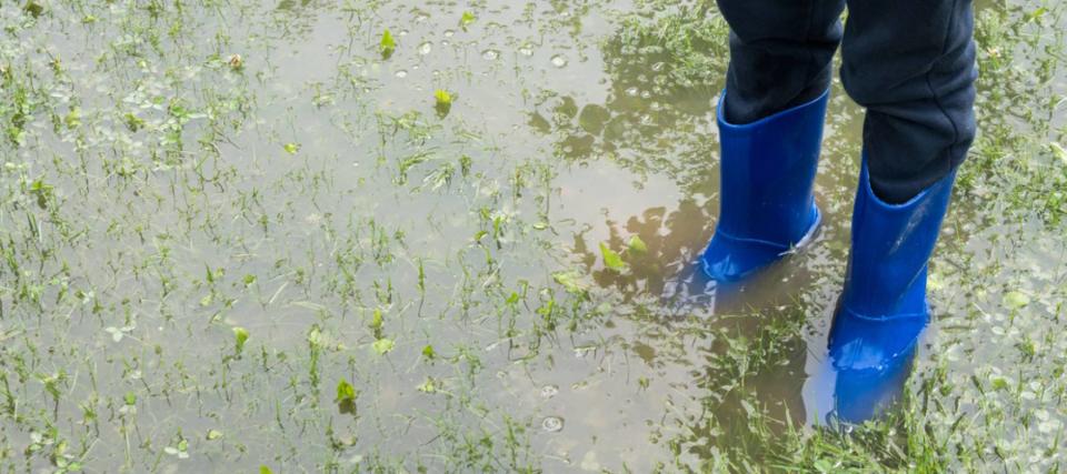 My neighbor’s sump pump drains onto my property — now my yard is a swampy mess. Do I have legal recourse?