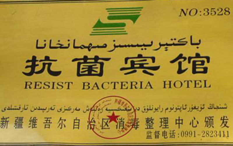 Resist Bacteria Hotel, Kashgar, China