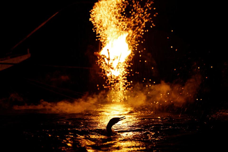 A photo of a head of a bird poking out of the water as fire burns in a basket behind it.
