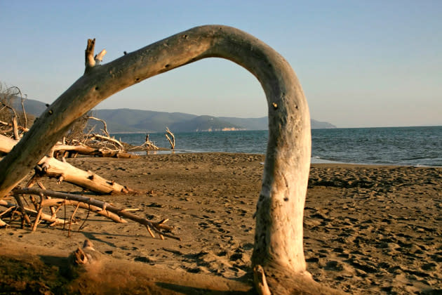 <b>Marina di Alberese, Toskana</b><br><br>Nicht nur die berühmten Maremma-Kühe fühlen sich am Strand von Marina di Alberese pudelwohl. Denn am einzigen komplett unbearbeiteten Strand Italiens gibt es statt Budenzauber und Shopping-Gelegenheiten nur eines: Natur pur. Und so genießen nicht nur Ruhesuchende die stillen Strandspaziergänge, auf denen man mit etwas Glück Pferden, Wildschweinen oder Füchsen begegnet. Damit diese sich ungestört bewegen können, ist der Zugang zum „Parco Naturale della Maremma“ nur einer begrenzten Anzahl Zweibeiner gestattet. (Bild: ddp images)