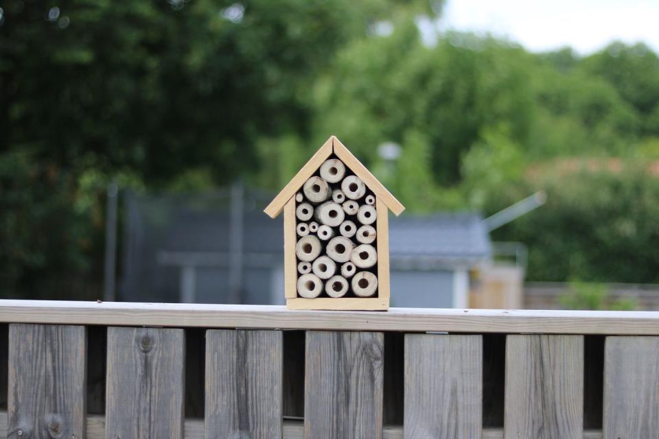 how to build a bug hotel with the kids