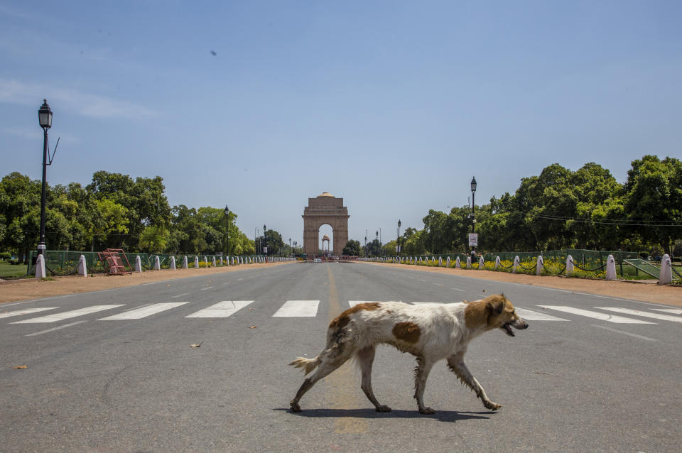 Un perro cruza por una calle delante de la Puerta de la India de Nueva Delhi (India) el 30 de marzo. (Foto: Yawar Nazir / Getty Images).