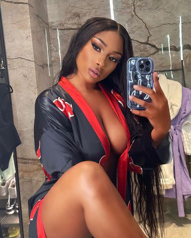 <p>Megan Thee Stallion/Instagram</p>