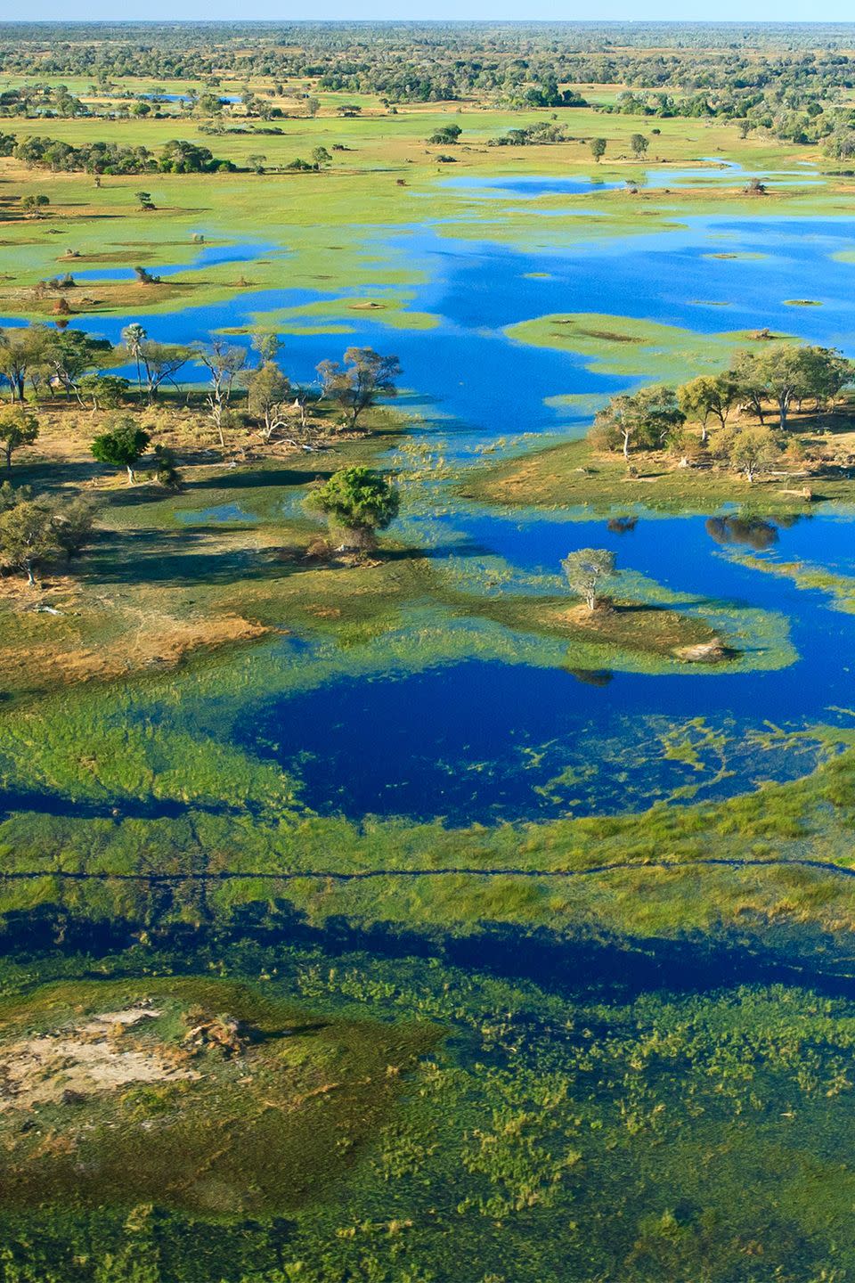 Okavango Delta, Botswana