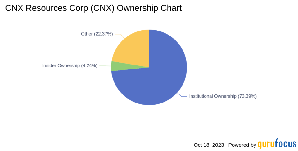 Decoding Ownership and Performance: CNX Resources Corp(CNX)