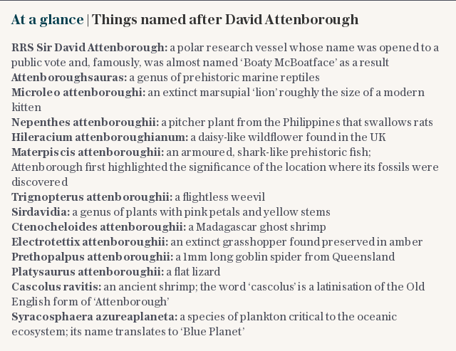 Things named after Attenborough