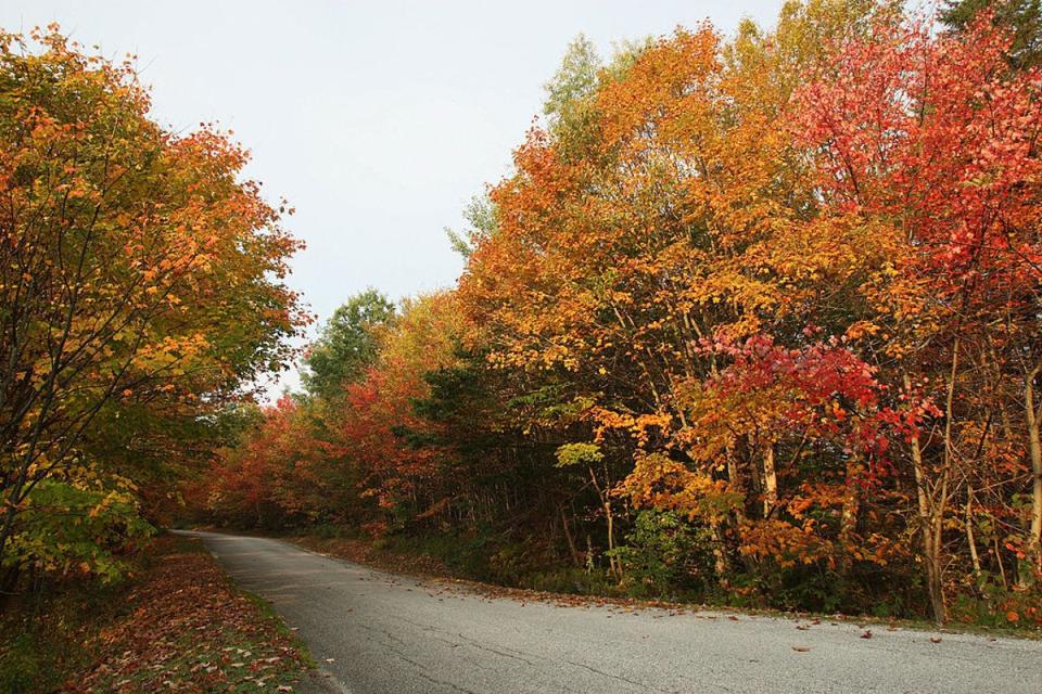 Vermont’s iconic fall foliage is a major driver of state tourism (AFP via Getty Images)