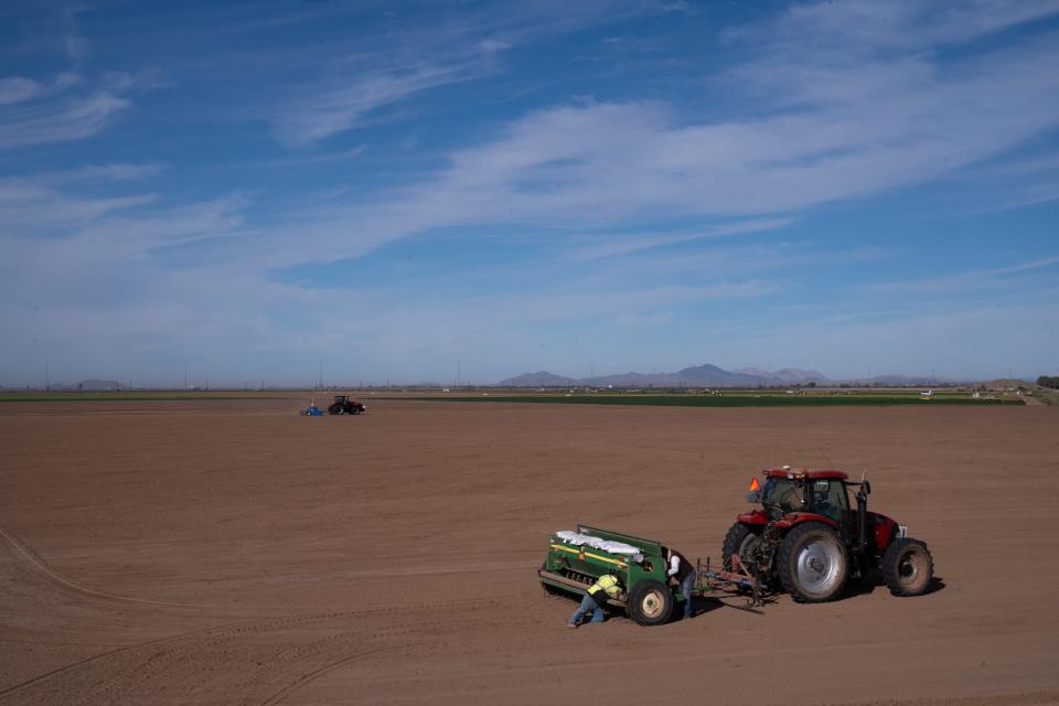 Workers prepare to plant durum wheat, used to make pasta, at Desert Premium Farms east of Yuma on Jan. 28, 2022. Yuma farmers worry that less water could not only impact their crops, but also the jobs and families in rural towns.