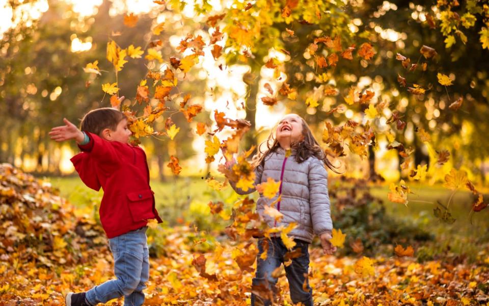 Why not brave the elements and simply enjoy the autumn colours - Martin Novak/Moment RF