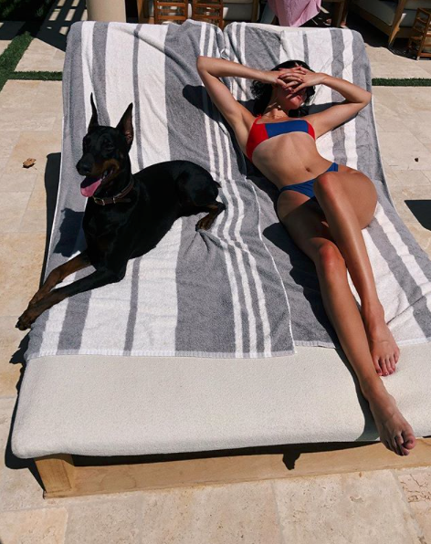 <p>Kendall soaks up the sun with her Doberman Pinscher puppy on Memorial weekend. She captioned this snap, “Cute but she’ll rip your face off”. Source: Instagram/kendalljenner </p>