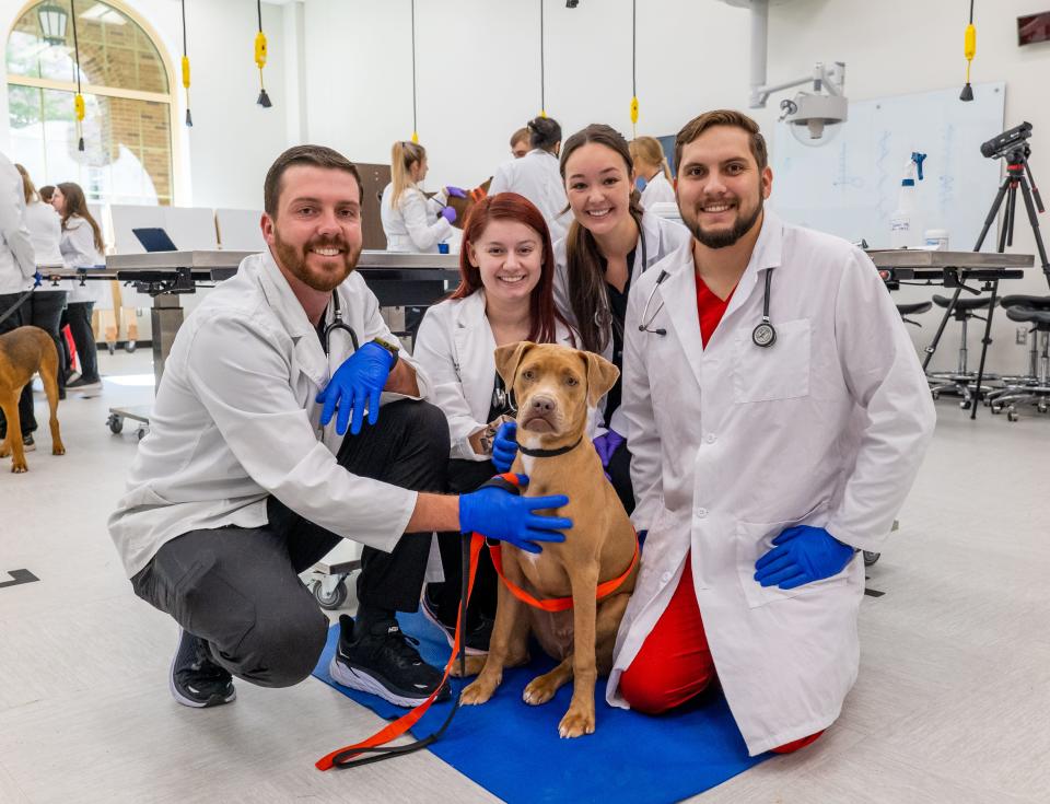 Texas Tech University School of Veterinary Medicine in Amarillo will honor 62 students with their first-ever White Coat Ceremony, this Sunday, March 17 at the Globe-News Center for the Performing Arts, 500 S. Buchanan St. from 1:30 to 3:15 p.m.