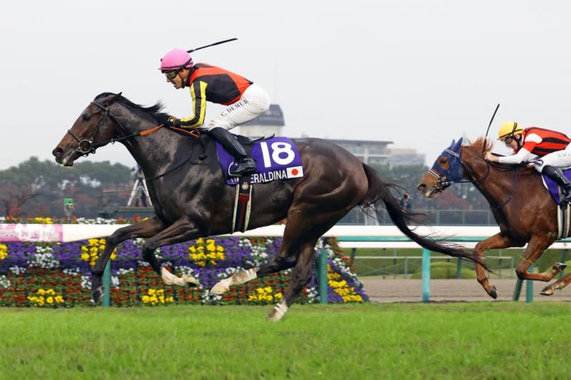 Geraldina, seen winning the 2022 QE II Cup in Japan, seeks a repeat in Sunday's renewal. Photo courtesy of Japan Racing Association