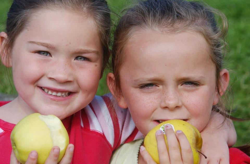 AN APPLE A DAY....Chloe Casey (5) and Sara (7) tucking into the healty munch at the Gasworks cafe in the Gasyard Centre. The children were at the Healthy Breakfast organised by the Bogside and Brandywell Health Forum as part oif the Gasyard Feile. (1508C91):Derry youngsters enjoying summer in August 2003
