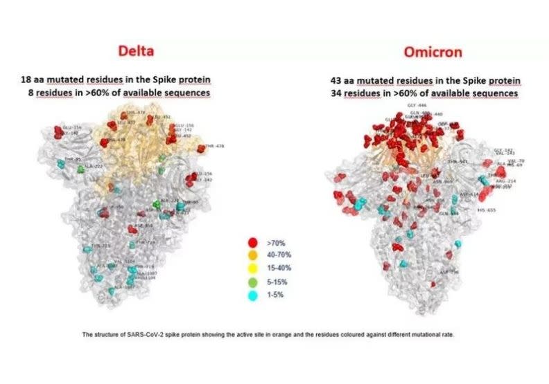 義大利羅馬小耶穌兒科醫院研究團隊27日發布全球首張Omicron變異株的照片，可從圖中看出Omicron（右）比Delta（左）變異株突變處更多。（紅點是變異最多的地方）。取自open.online網站。