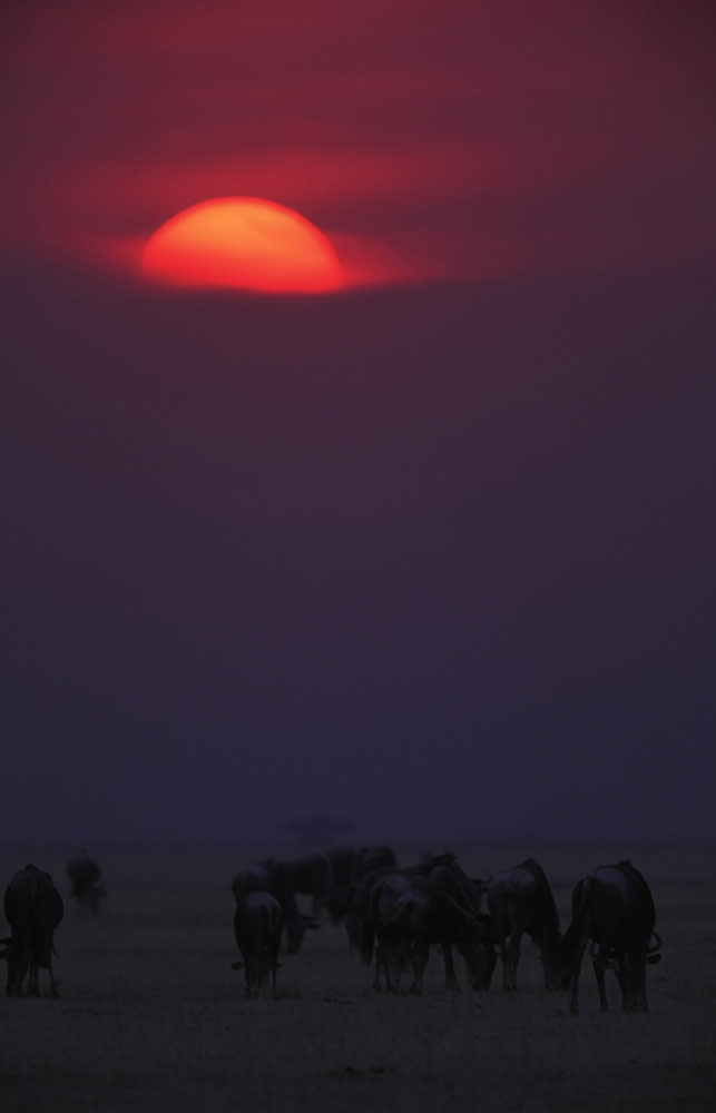 馬賽馬拉（Image Source : Getty Creative）