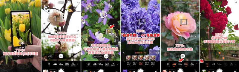 使用Xperia 1 V與Xperia 5 V輕鬆拍出質感花卉。
