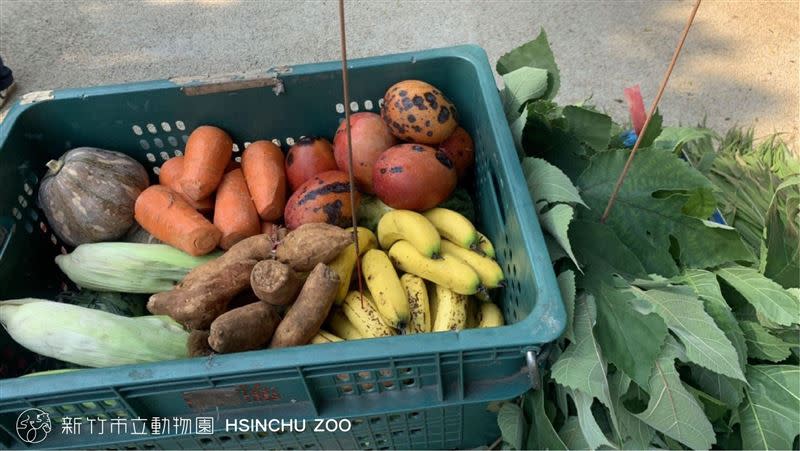 動物園替已逝動物們準備的供品。（圖／翻攝自新竹市立動物園）