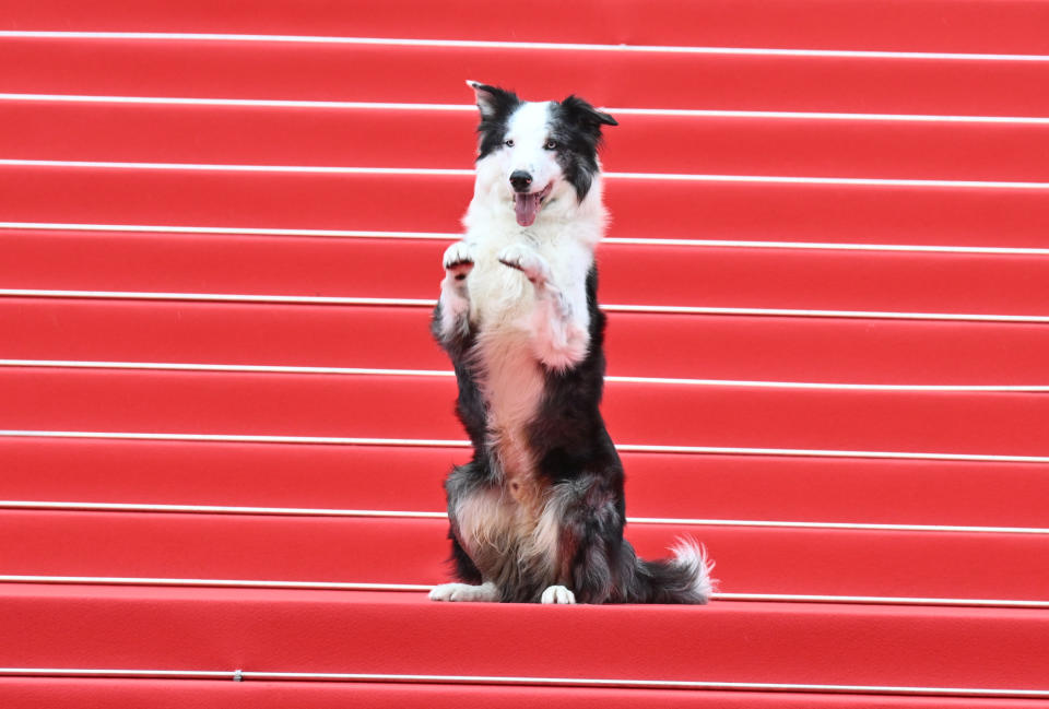 77th Annual Cannes Film Festival – Opening Night Ceremony and “The Second Act” Premiere