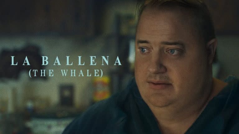 “La ballena” el gran regreso de Brendan Fraser - Imagen: Google