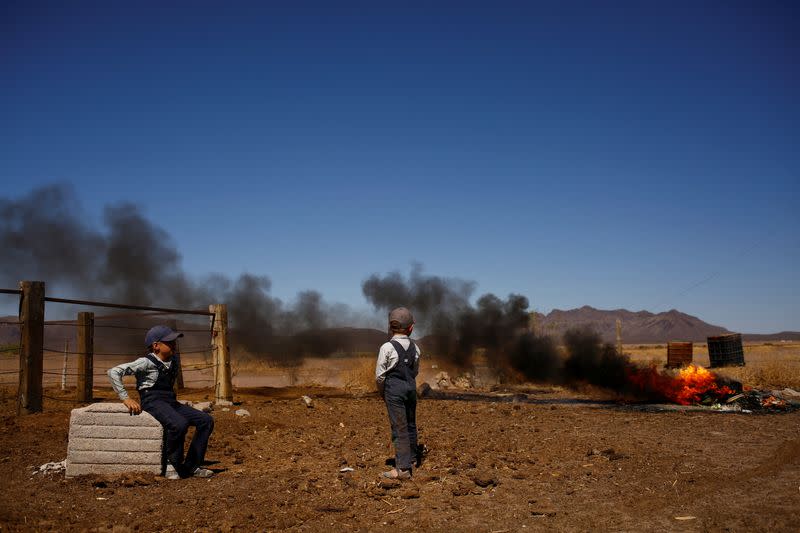 The Wider Image: God's will or ecological disaster? Mexico takes aim at Mennonite deforestation