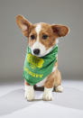 <p>Team: Ruff<br> From: Florida Little Dogs Rescue<br> (Photo: Animal Planet) </p>