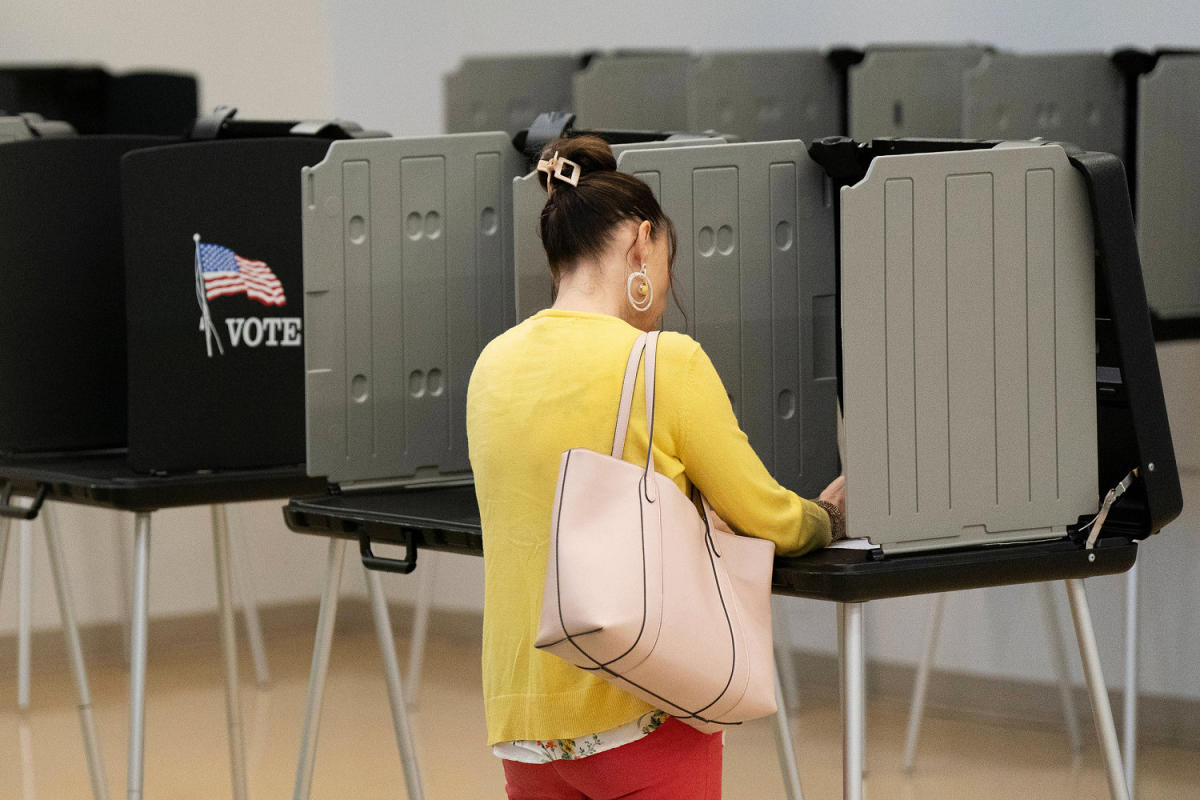 Conservative activists find bugs in software they hoped would root out voter fraud