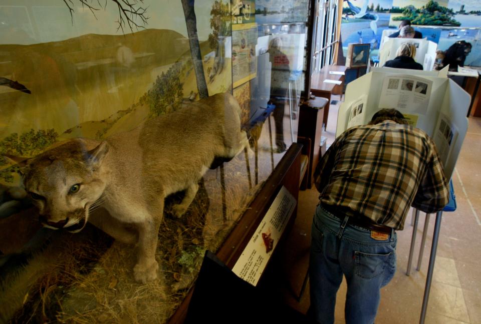 Tony Woolf marks his ballot next to a stuffed mountain lion at a polling place in the Rotary Nature Center at Lake Merritt in Oakland, Calif., on Tuesday, Nov. 4, 2008