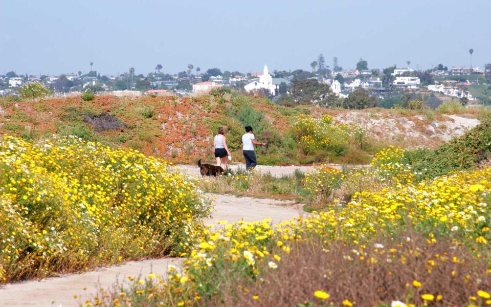 Fiesta Island, Mission Bay, San Diego, California