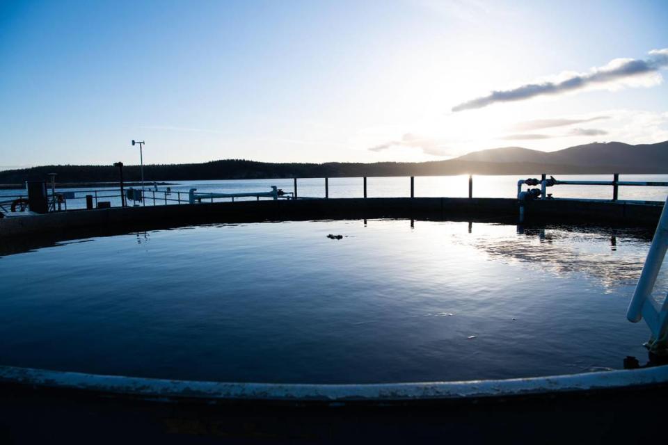 Mesocosm tanks at PNNL-Sequim — both indoors and outdoors like the one shown here — are fed with seawater from nearby Sequim Bay to enable research on chemical, biological or physical components and processes under controlled conditions.