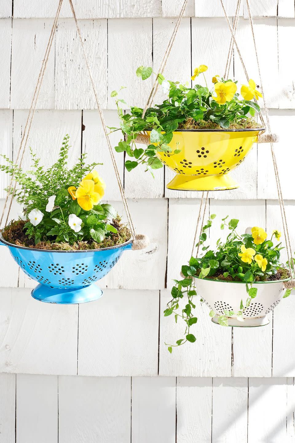 Colander Planters