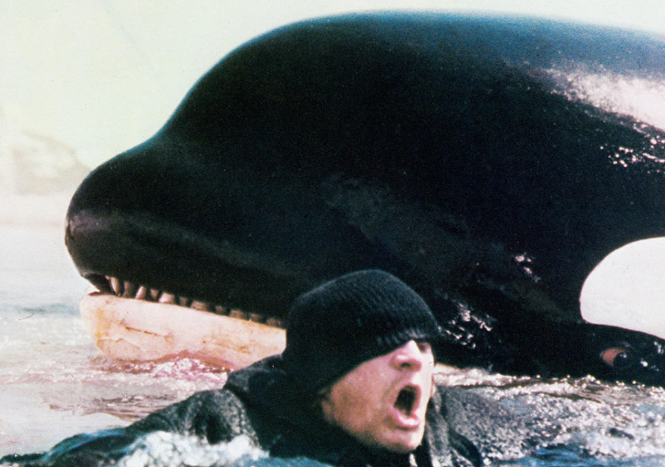 <p>In which legendary producer Dino De Laurentiis sees the giant killer shark from <em>Jaws</em> and counters with a giant killer whale. Richard Harris, Charlotte Rampling, and Bo Derek seem perfectly content to play second fiddle to Orca, while Ennio Morricone provides the scene-setting score. (Photo: Everett)<br></p>