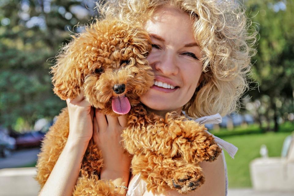 woman holding Maltipoo with teddy bear hair cut