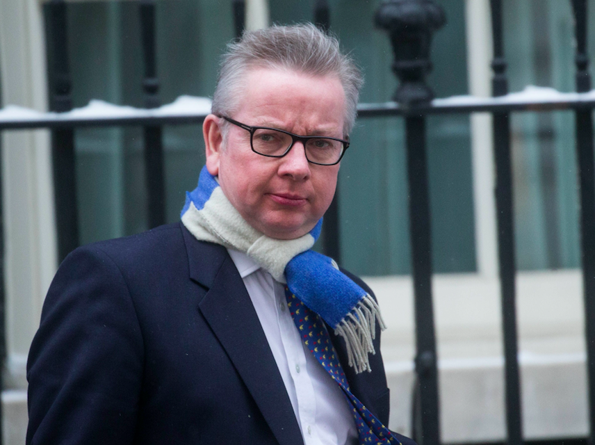 <em>Michael Gove says Cabinet discussions on Brexit go long into the night (Rex)</em>