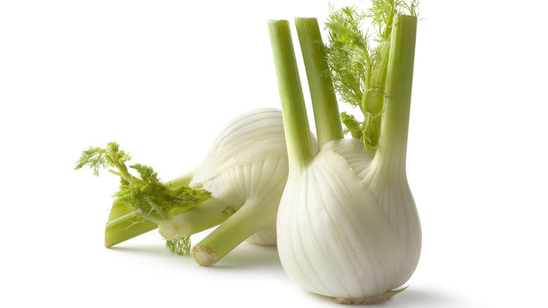 Two fennel bulbs against white