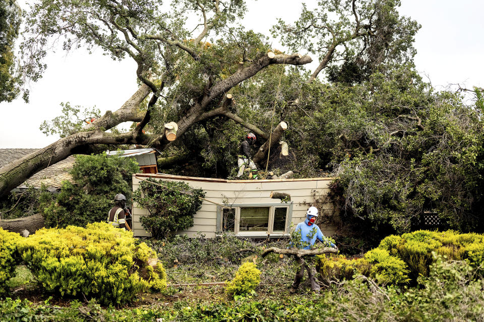 Workers clear a tree that fell onto a home during heavy wind and rain on Sunday, Feb. 4, 2024, in San Jose, Calif. / Credit: Noah Berger / AP