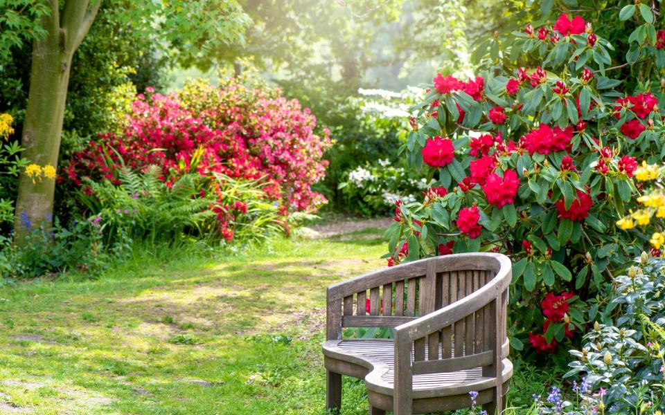 A bench in a garden -  Moment RF/Jacky Parker Photography