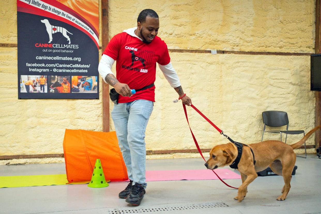 man training dog for canine cellmates