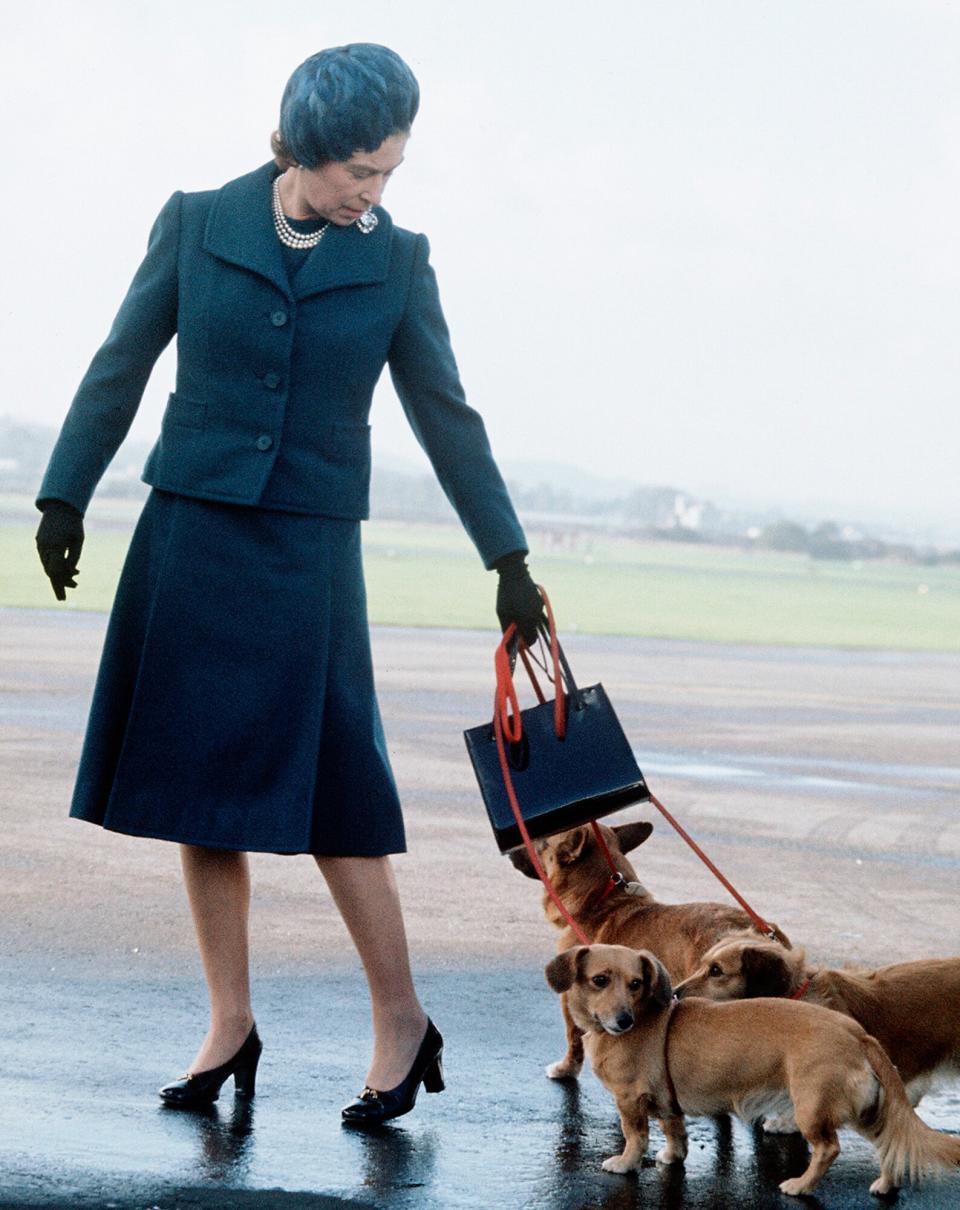 Queen Elizabeth ll arrives at Aberdeen Airport with her corgis to start her holidays in Balmoral, Scotland in 1974