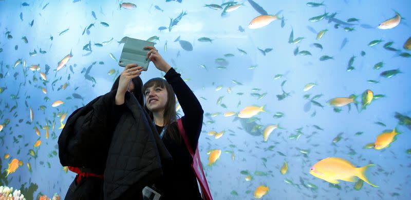 FILE PHOTO: Visitors take selfie at the stand of the Maldives at the International Tourism Trade Fair