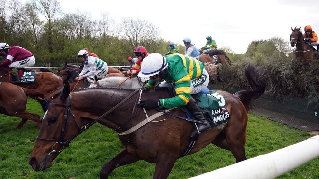 I Am Maximus lands after jumping a fence during the 2024 Grand National