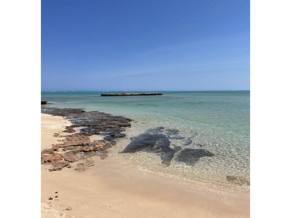 The aquamarine sea is backlit by bright, white sand (Fiona McIntosh)