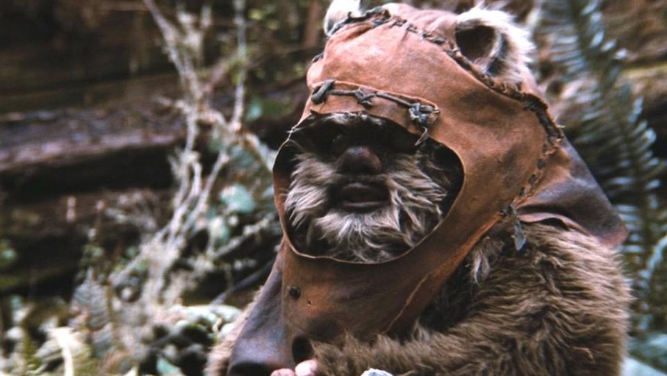 The Ewok Wicket in Return of the JEdi