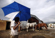 A Roma refugee from Kosovo holds an umbrella at the Vrela Ribnicka camp in Podgorica, October 13, 2012. The early parliamentary elections in Montenegro are scheduled Sunday for October 14th. REUTERS/Marko Djurica (MONTENEGRO - Tags: POLITICS ELECTIONS)