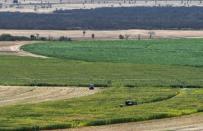 A corn farm is seen in Limoeiro do Norte, in Ceara state, January 15, 2015. Picture taken January 15, 2015. To match Special Report BRAZIL-PESTICIDE/ REUTERS/Davi Pinheiro